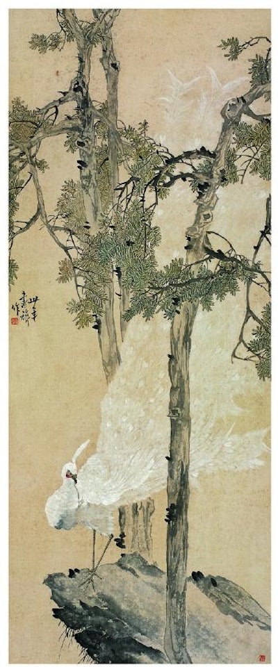 The white peacock by Zhang Shuqi