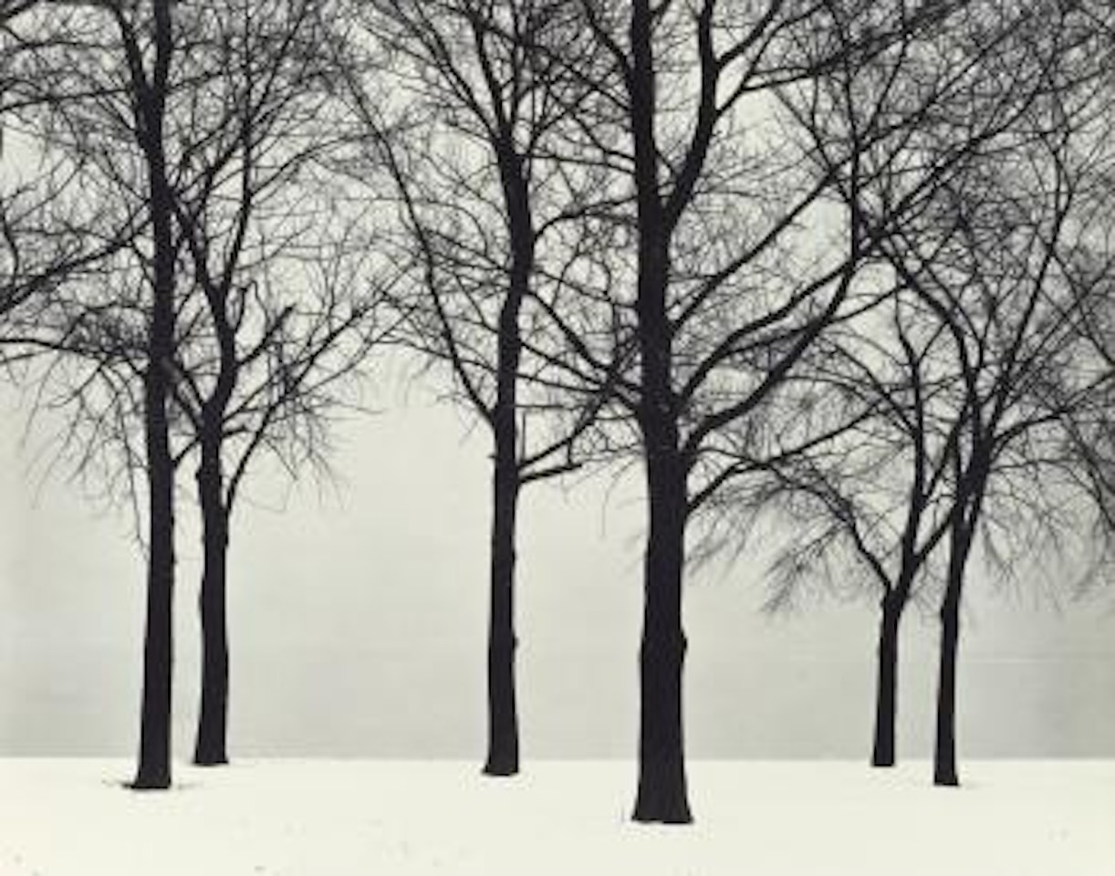 Chicago (Trees In Snow) by Harry Callahan