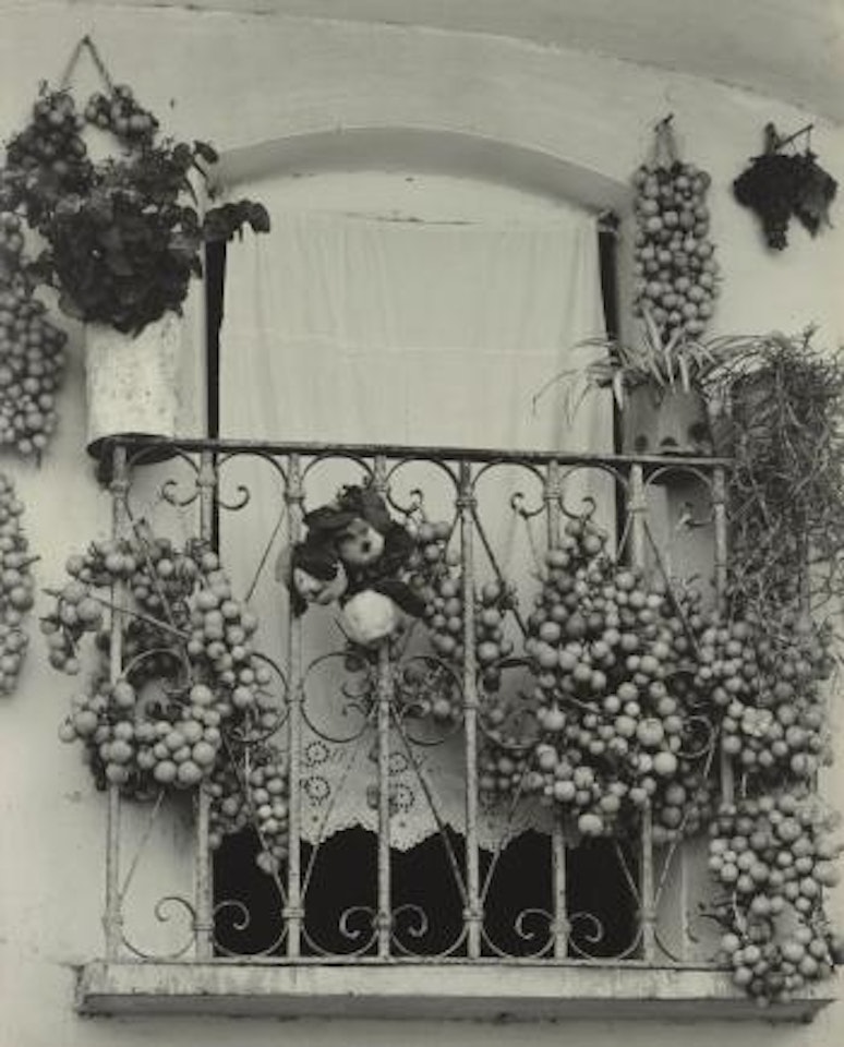 Fruits Of The Year, Gaeta, Italy by Paul Strand
