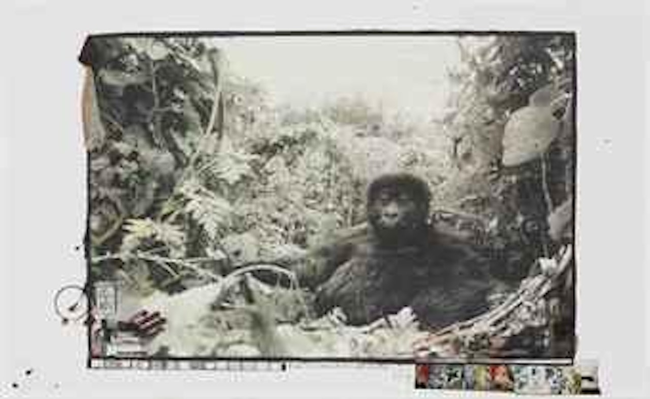 Starvo Park, die-off, Hog Ranch by Peter Beard