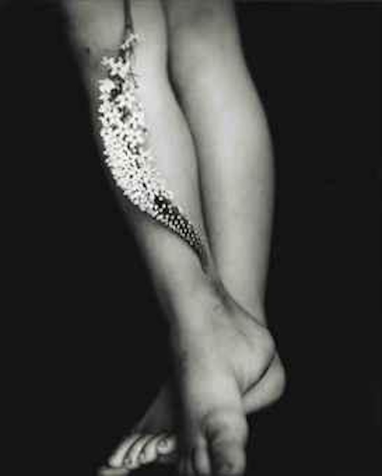 Gooseneck Loosestrife by Sally Mann