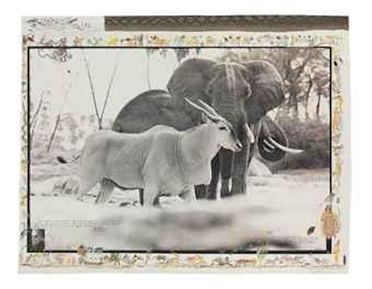 Bull Eland Passing Elephants Digging Water, near Kathamula Tsavo, North, for The End of the Game, February 1965 by Peter Beard