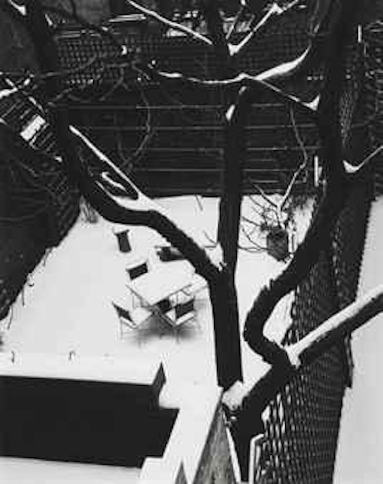 Backyard in Snow, New York by André Kertész