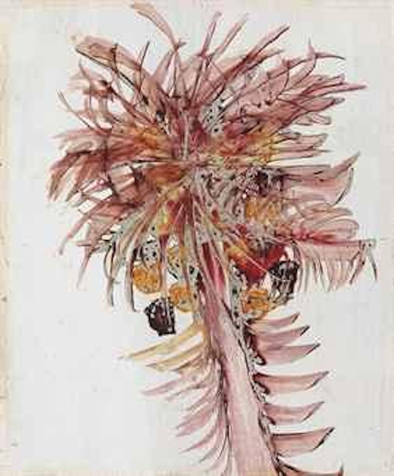 Flower study (g) by Sidney Nolan