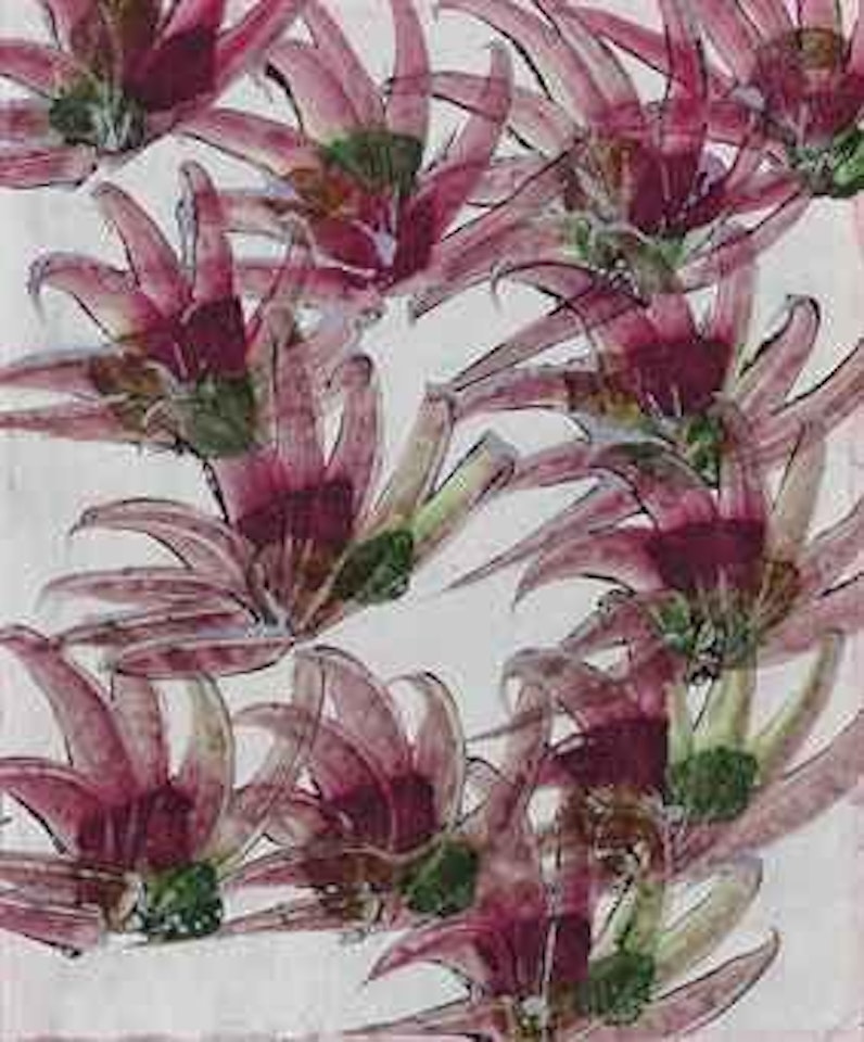 Flower study by Sidney Nolan