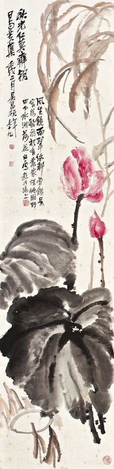 Blomming Lotus by Wu Changshuo