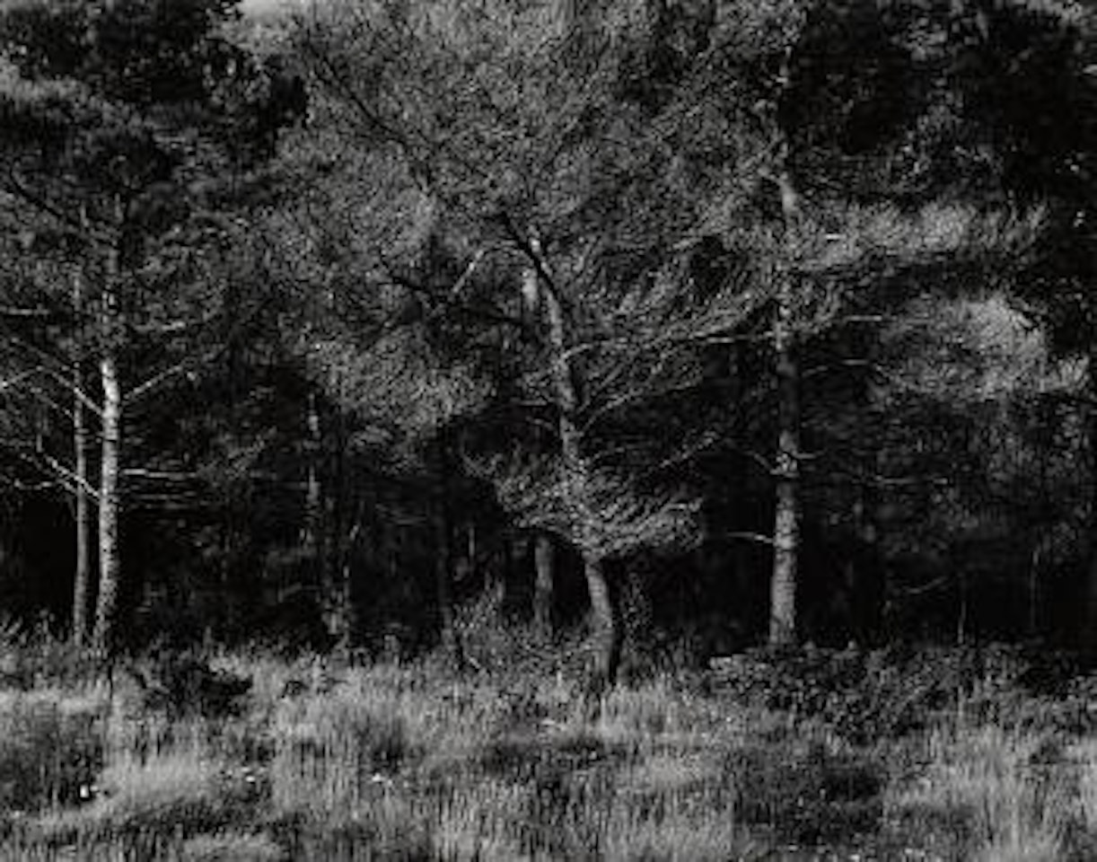 Aix-en-Provence, France by Harry Callahan