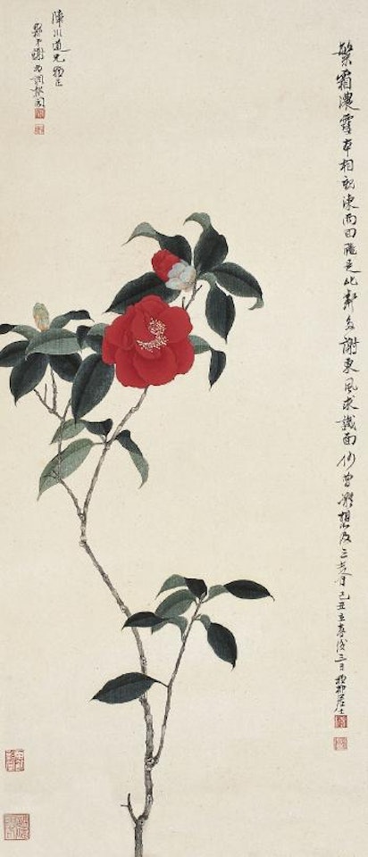 Camelia by Xie Zhiliu