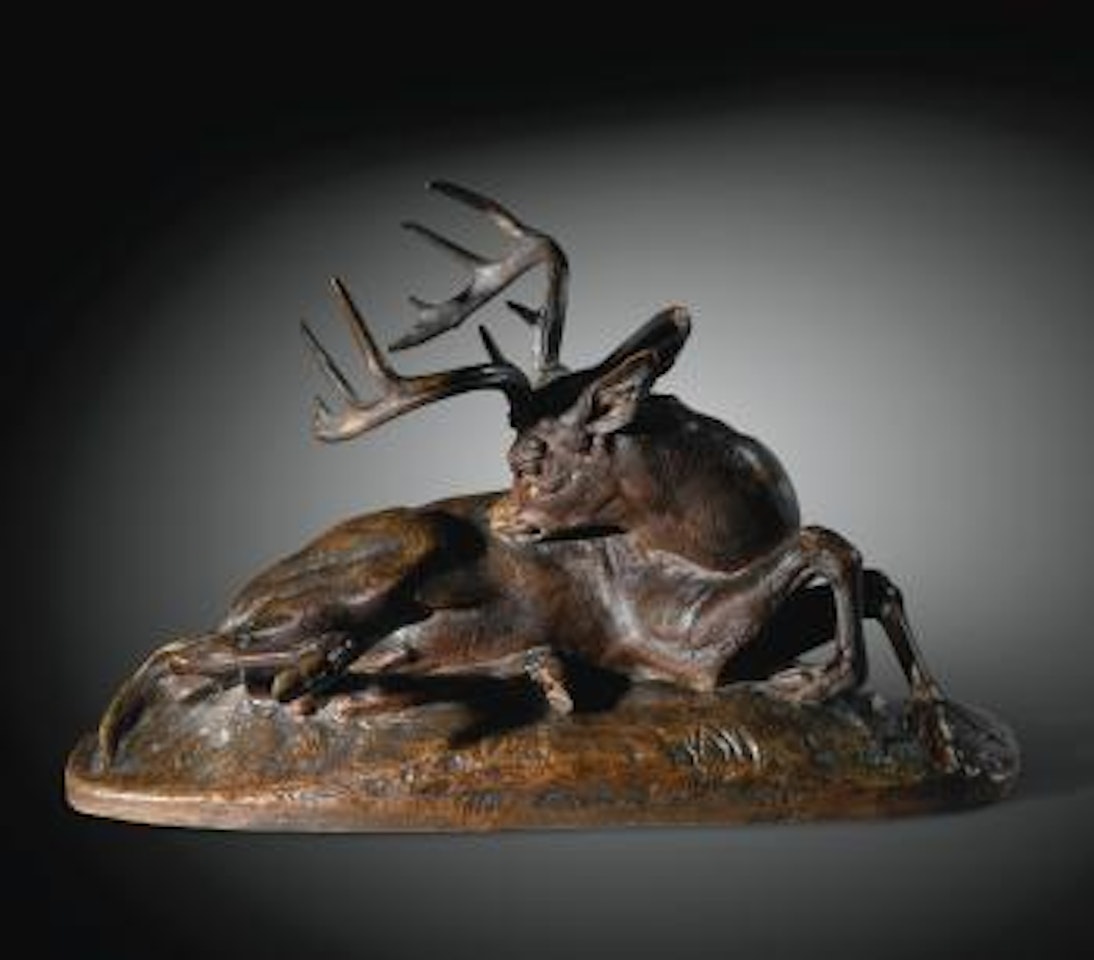 Cerf De Virginie, Couché by Antoine-Louis Barye