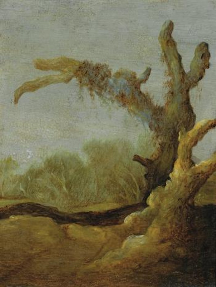 A Tree Trunk In A Landscape by Jacob Jacobsz van Geel