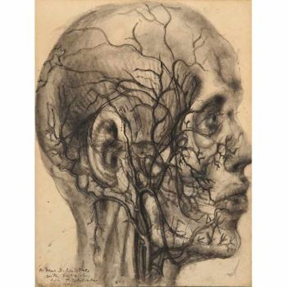 Untitled (head study) by Pavel Tchelitchew