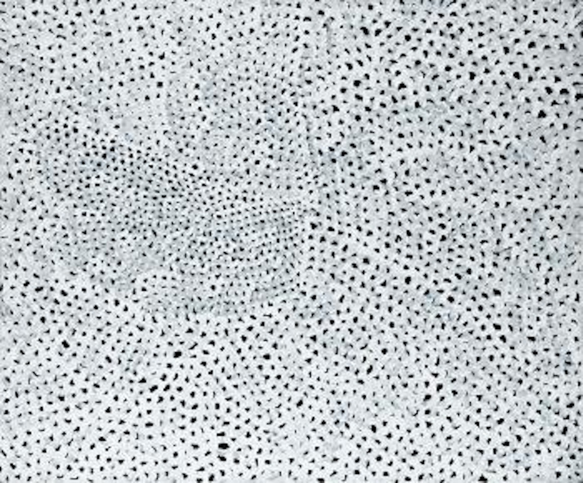 Nets 9 by Yayoi Kusama