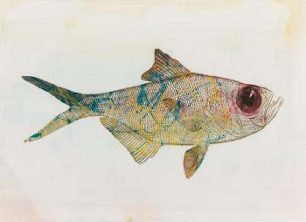 Untitled (Big Eyed Fish) by Philip Taaffe