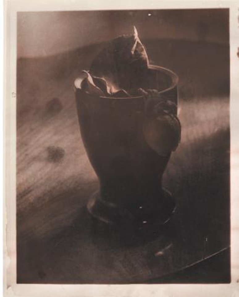 Nature-morte by Josef Sudek