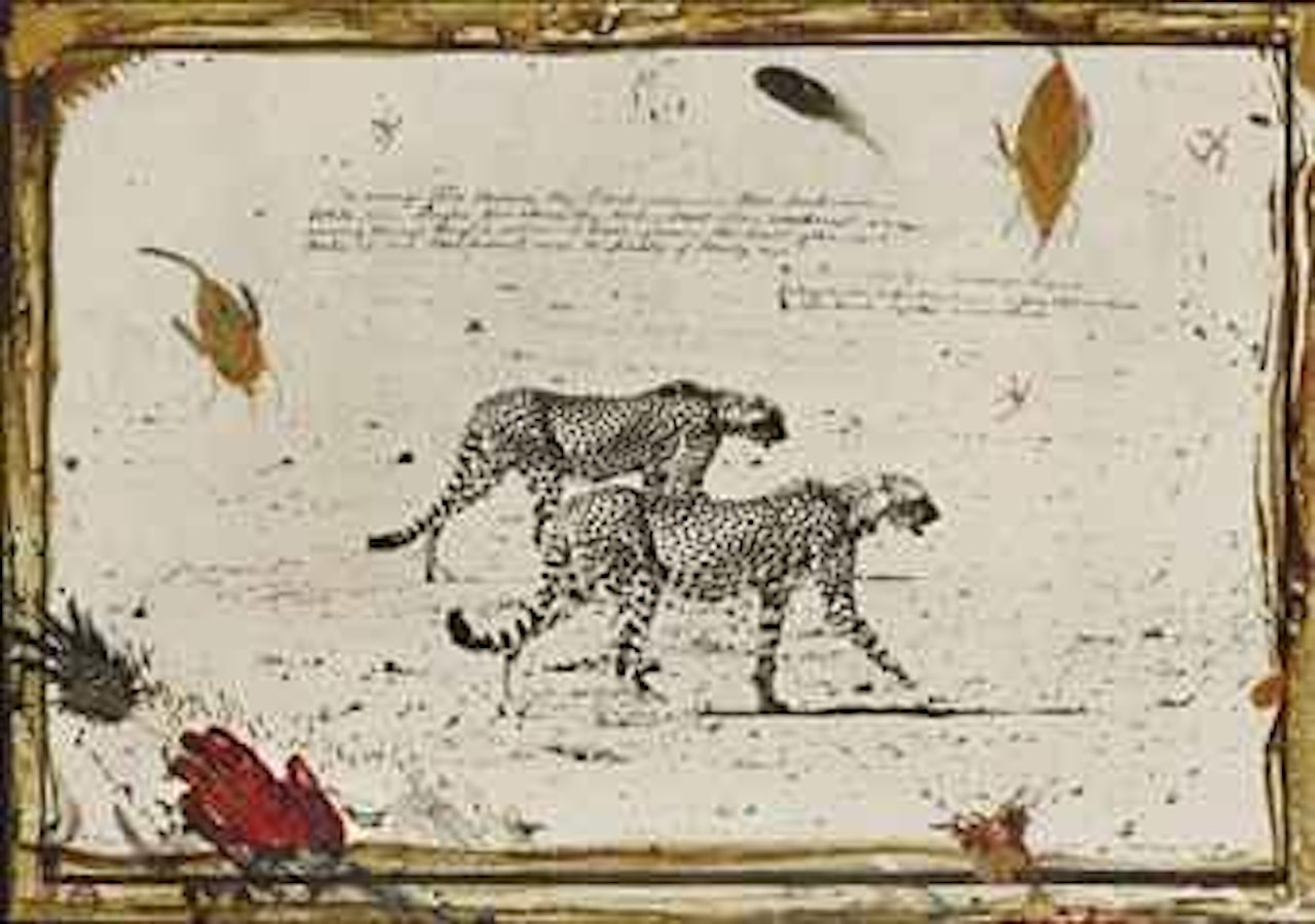 Hunting Cheetahs on the Taru Desert, Kenya by Peter Beard