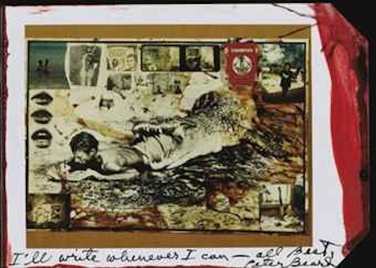 I'll write whenever I can by Peter Beard