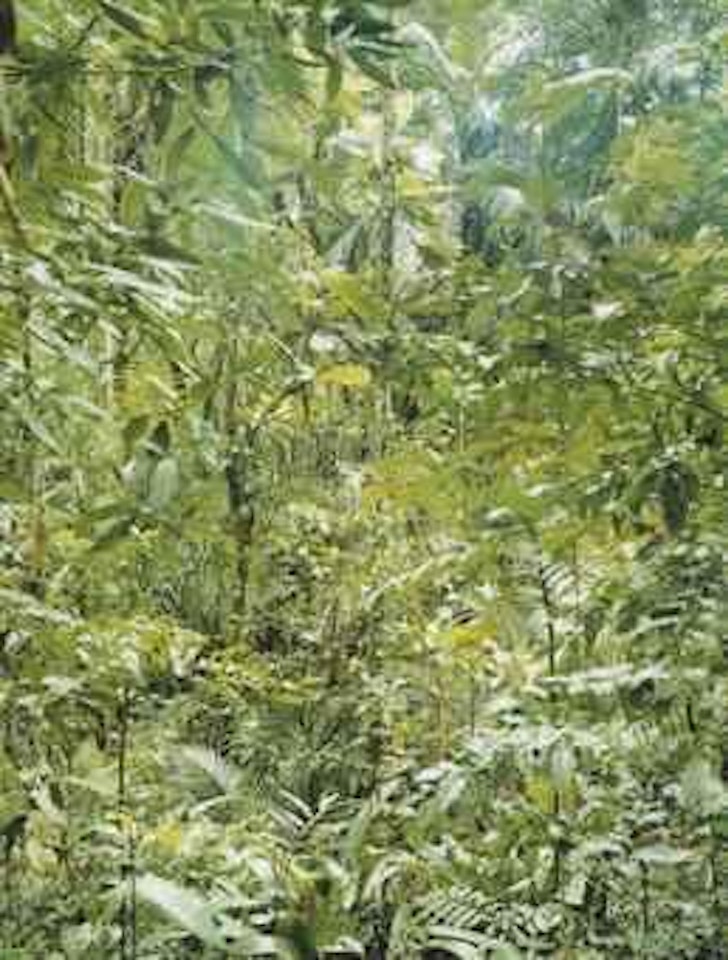 Paradise 22 Sao Francisco de Xavier by Thomas Struth