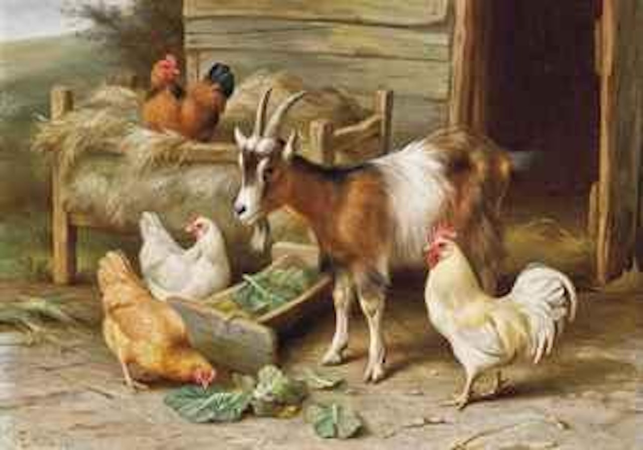 Feeding companions by Edgar Hunt