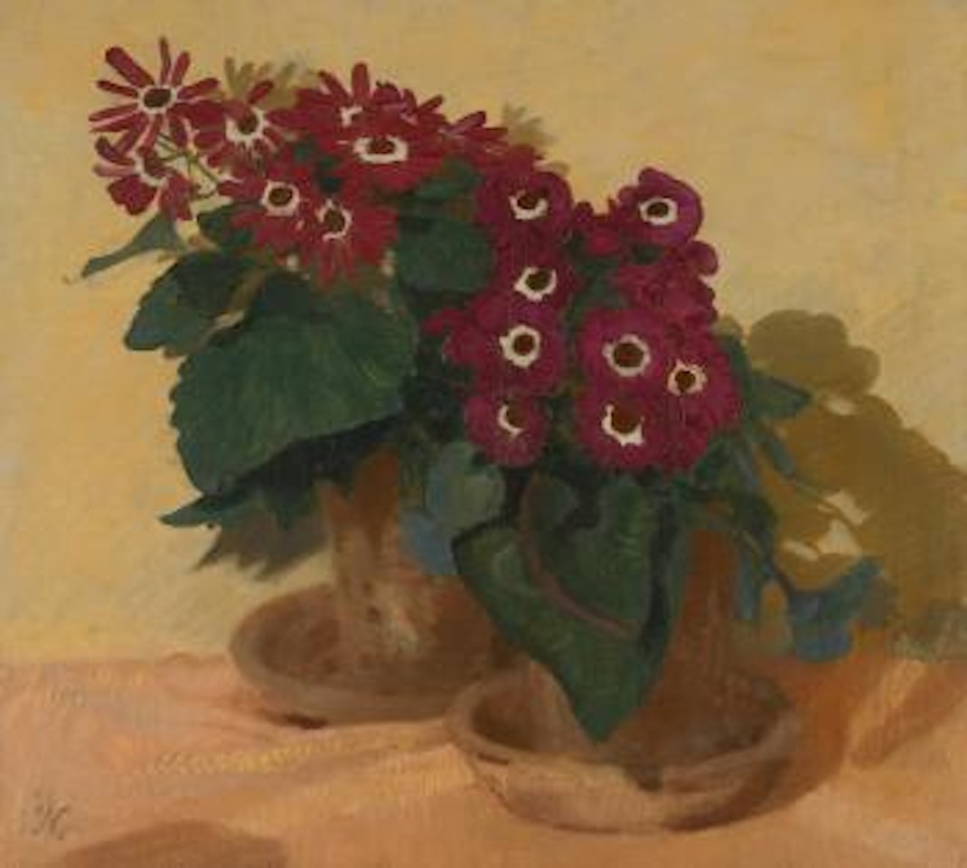 Red Cinerarias by William Nicholson