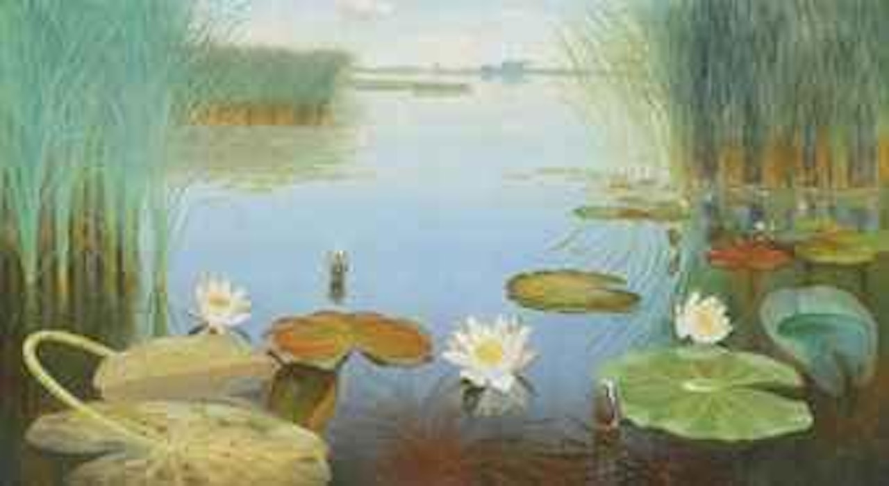 Water lilies in the Loosdrechtse plassen by Dirk Smoorenberg