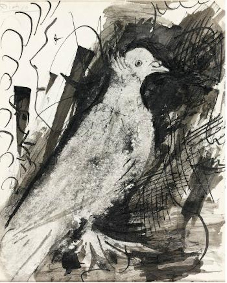 Pigeon ramier. Soleil by Pablo Picasso