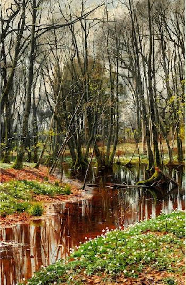 Spring day in the forest with freshblown anemones near a stream by Peder Mork Monsted