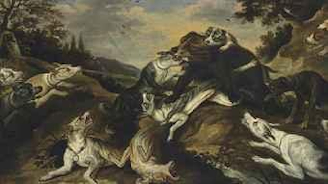 A bear brought down by hounds by Frans Snyders