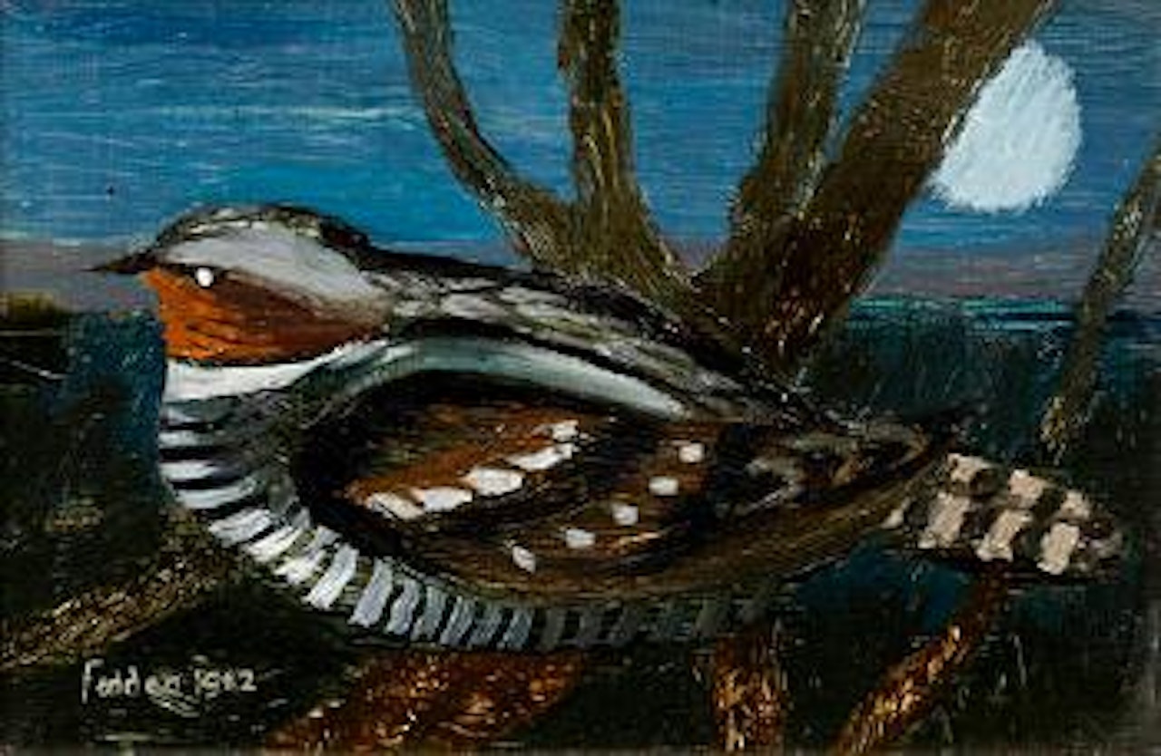 Night Bird by Mary Fedden
