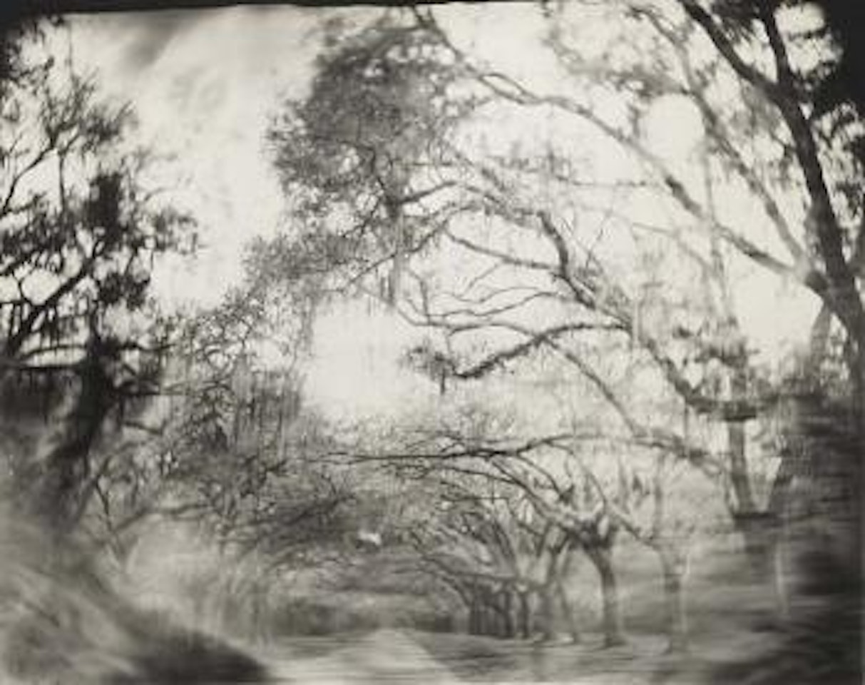 Untitled (Georgia) by Sally Mann