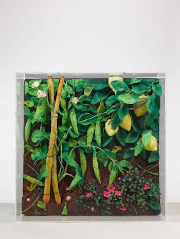 Piselli e limoni by Piero Gilardi