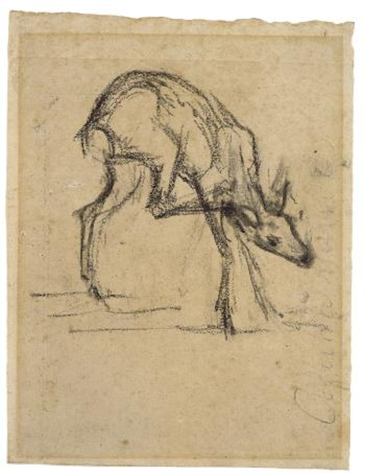 Rehskizze III by Franz Marc
