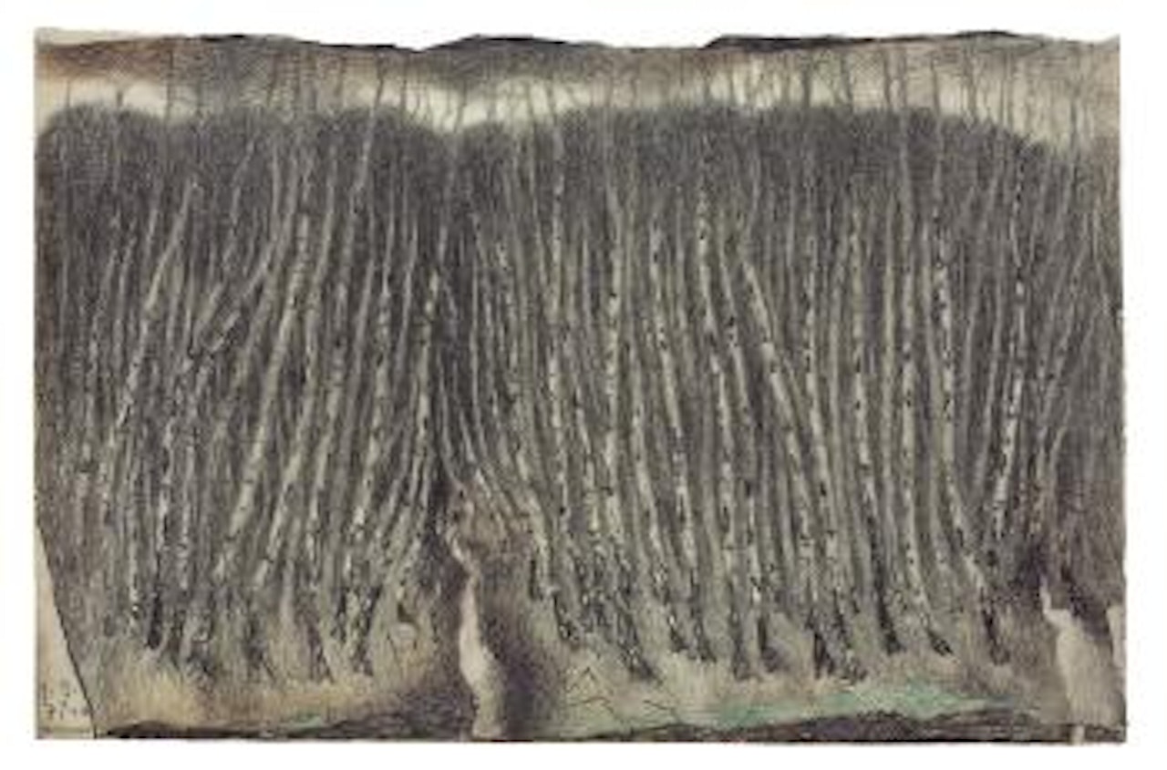 Himmelsmoor by Horst Janssen