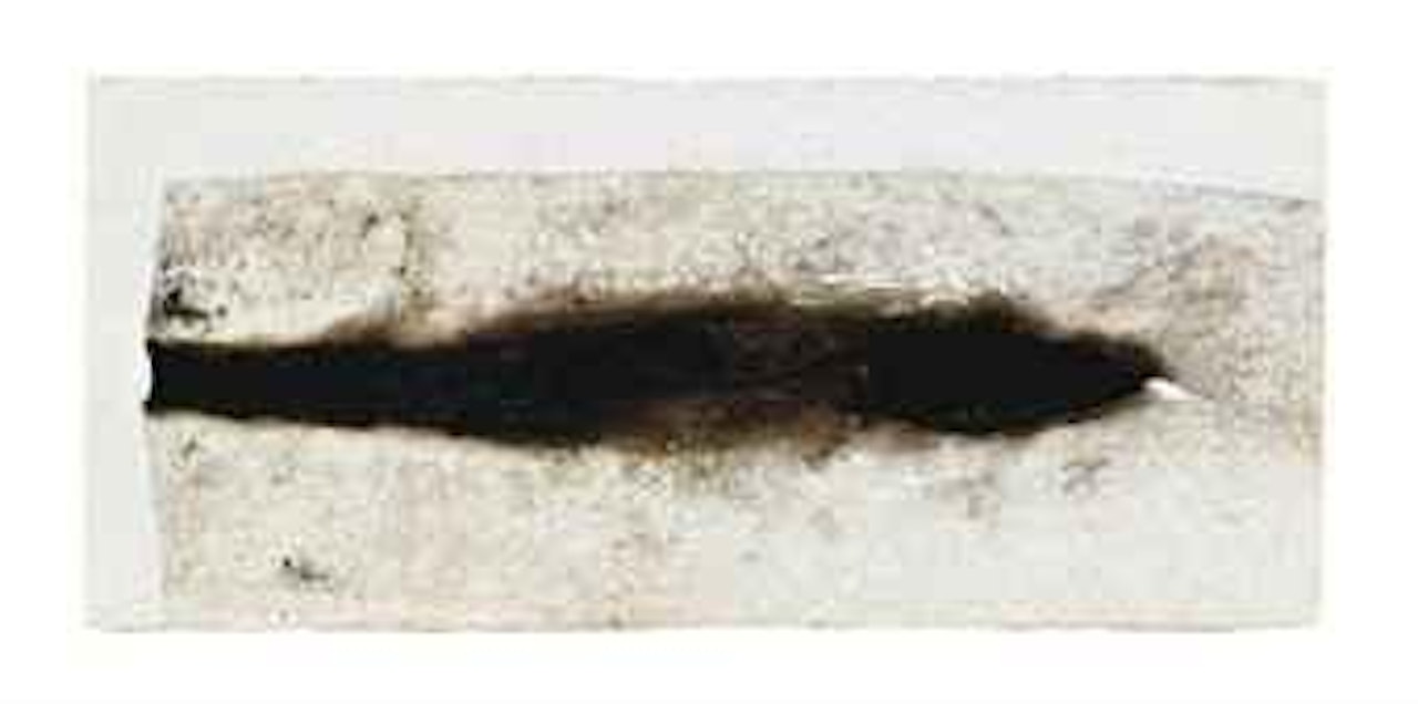 Combustione plastica L. A. by Alberto Burri
