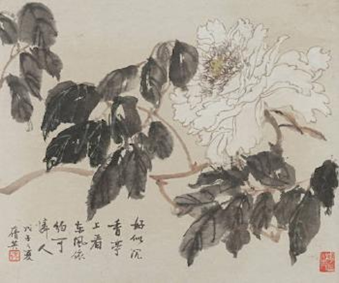 A framed watercolour depicting a flowering peony by Zhang Daqian