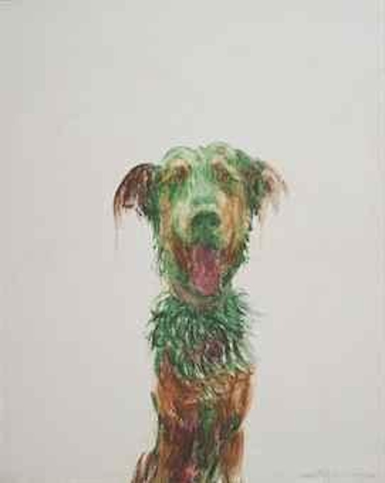 Green Dog by Zhou Chunya