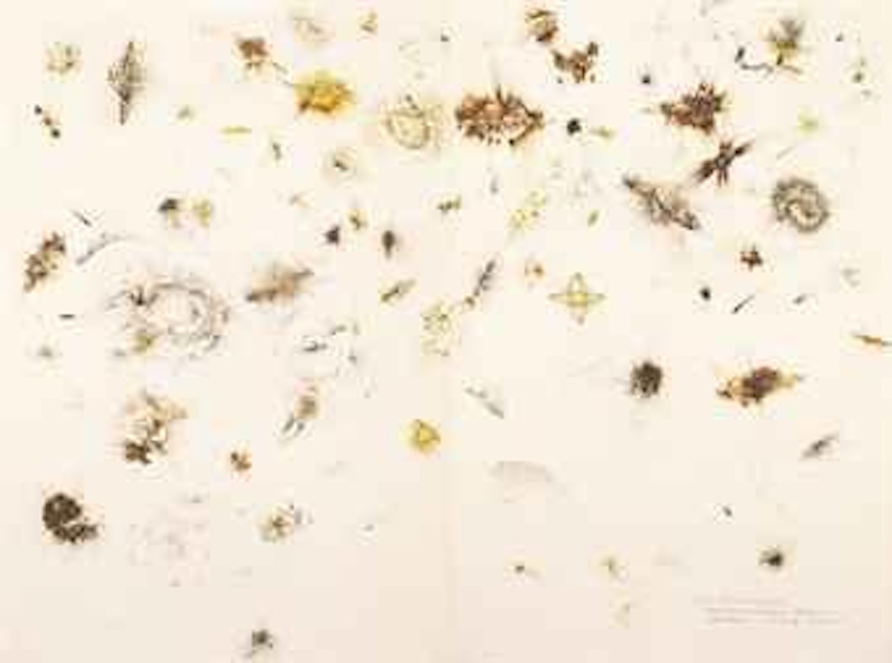 Drawing for Asia-Pacific Economic Cooperation: Imagining the Universe by Cai Guo-Qiang