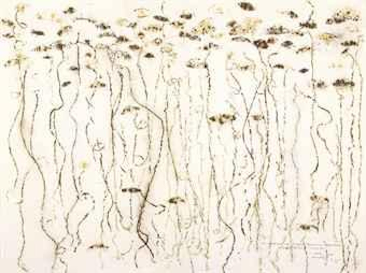 Drawing for Asia Pacific Economic Cooperation: UFO by Cai Guo-Qiang