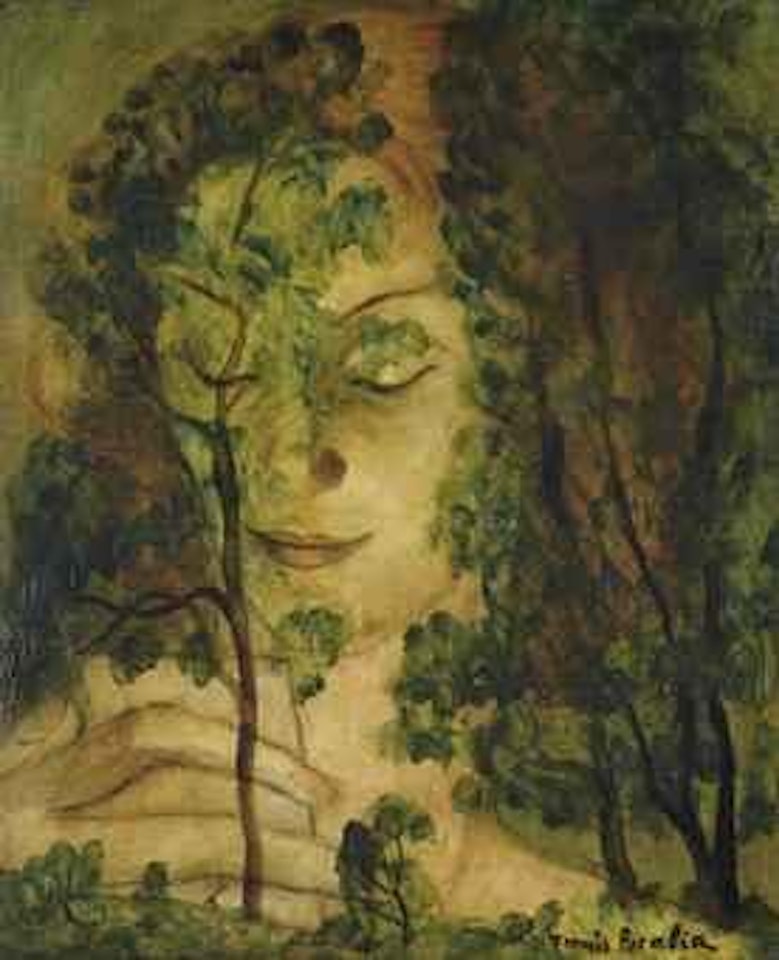 Femme aux arbres by Francis Picabia