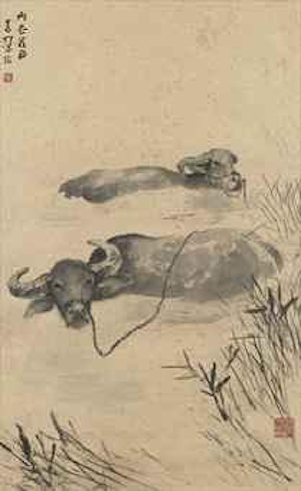 Buffalos by Yang Shanshen