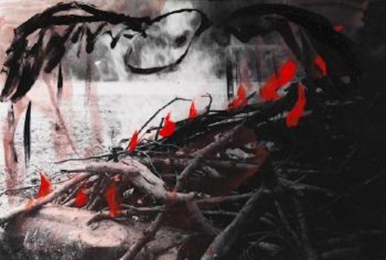 Ohne Titel by Anselm Kiefer