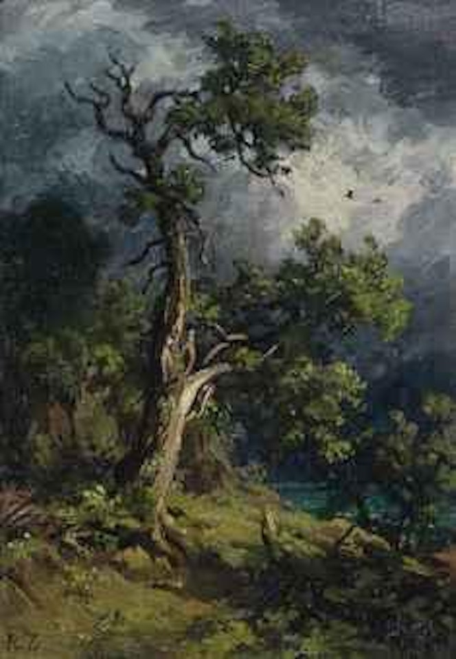 Nussbaum by Robert Zünd