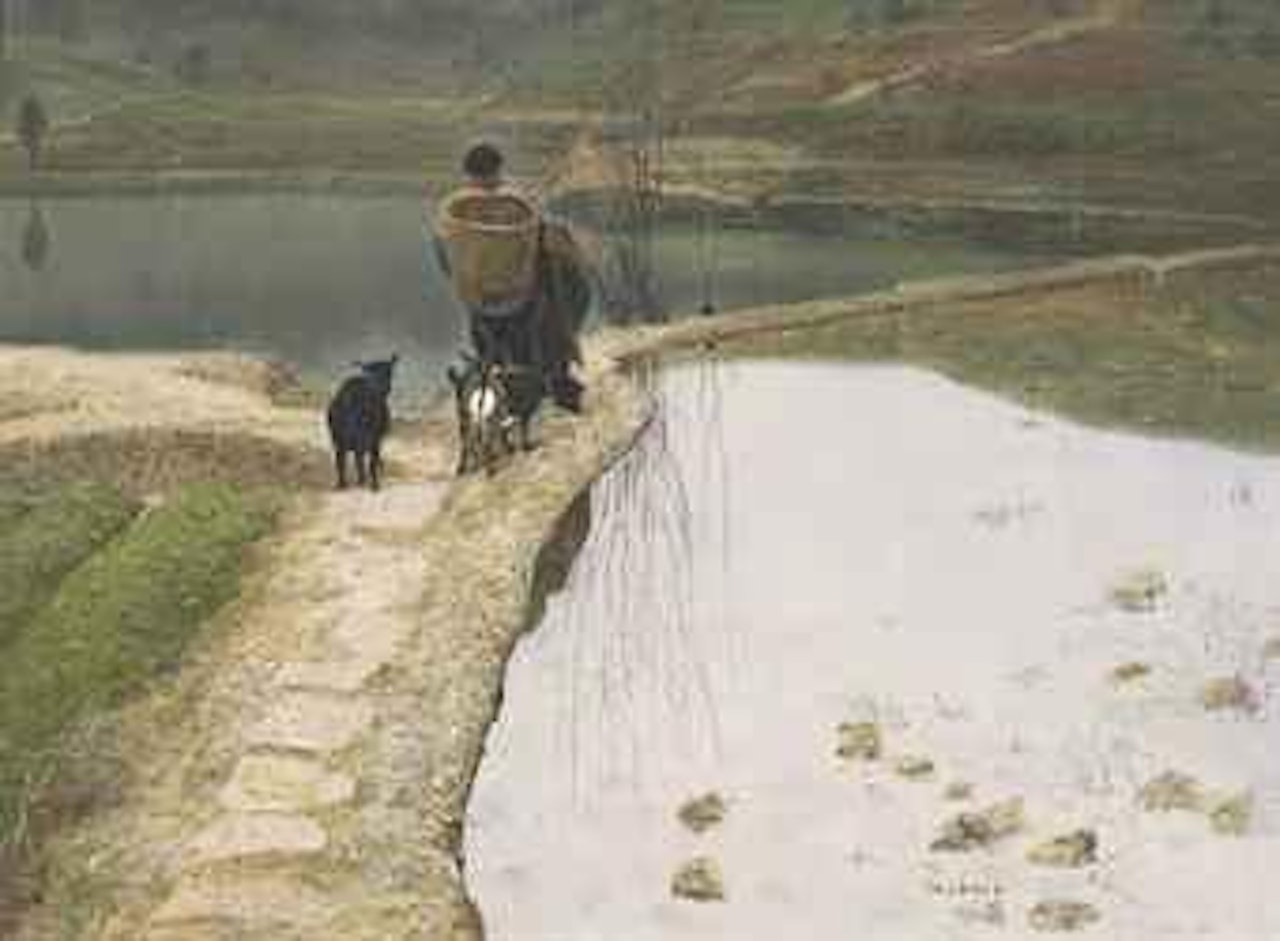 Homeland-A Path in the Village by Luo Zhongli