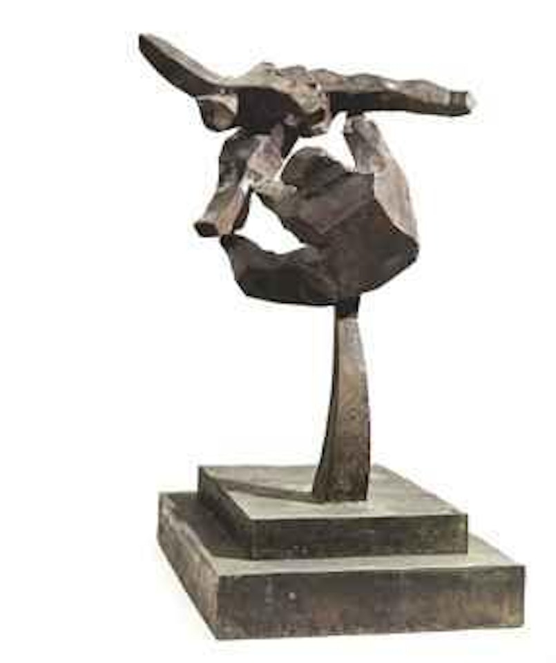 Taichi Series - Fly to Strike by Ju Ming