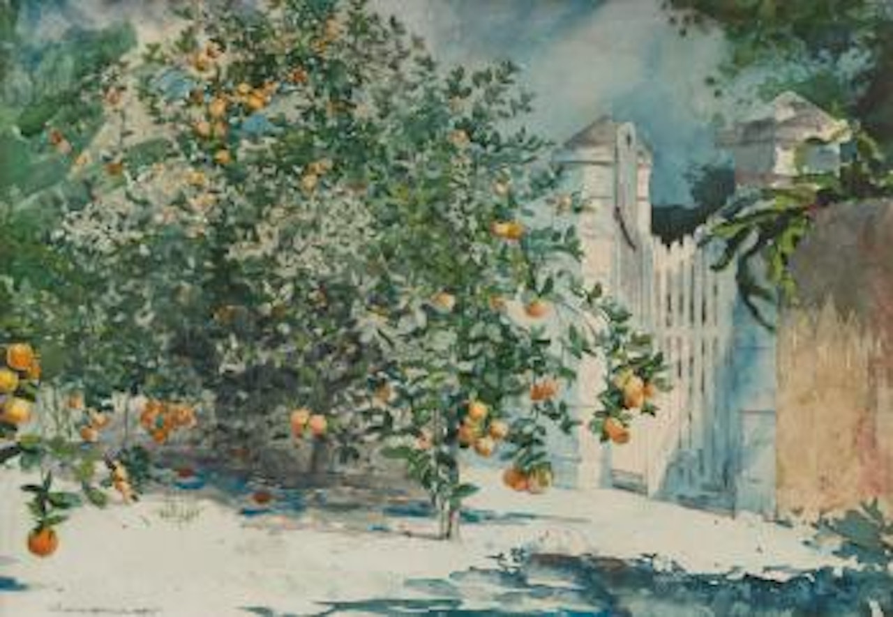 Orange Trees And Gate by Winslow Homer