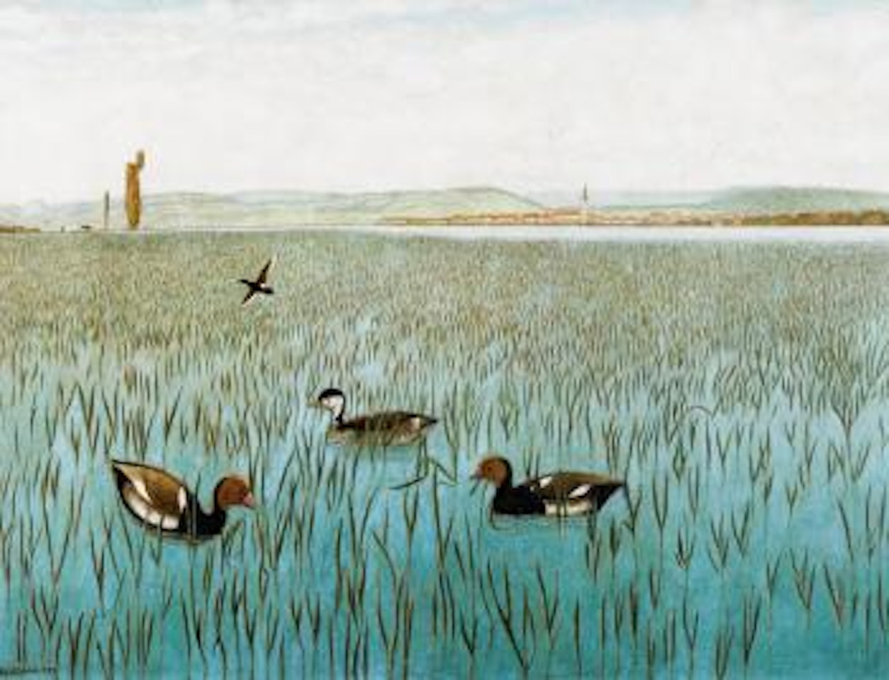 Wildenten by Adolf Dietrich