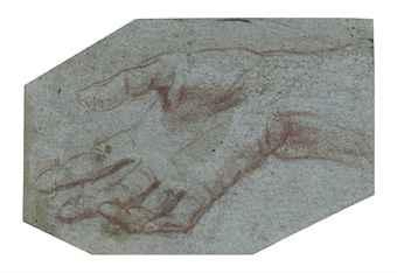Study of a hand by Giovanni Domenico Tiepolo