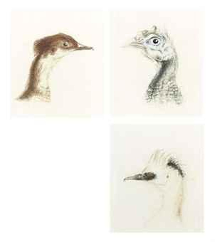 Three head studies of birds: A Guinea Fowl; A Smew; and A Red-breasted Merganser by Joseph Mallord William Turner