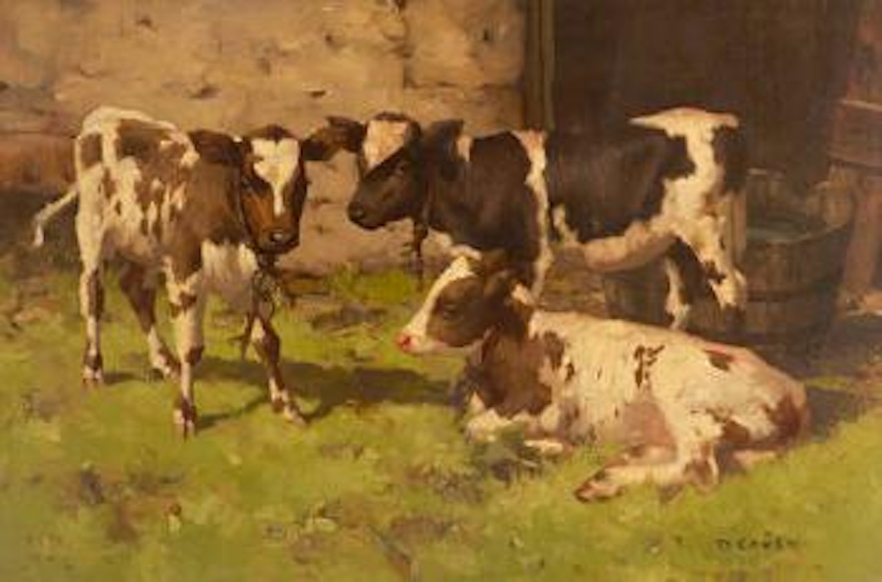 Three calves by David Gauld