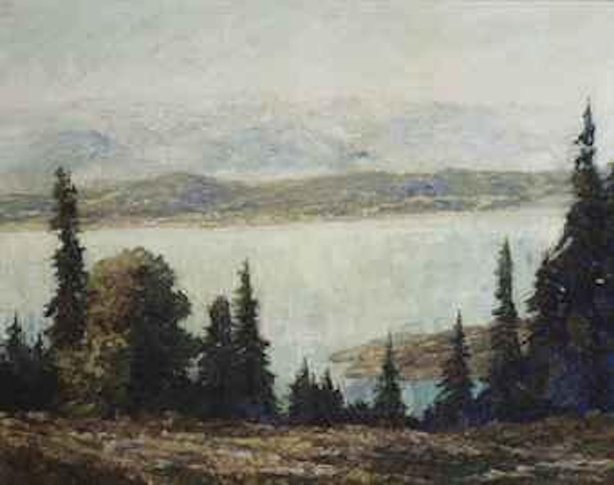 A lake view from a pineforest with mountains in the distance by Otto Pippel