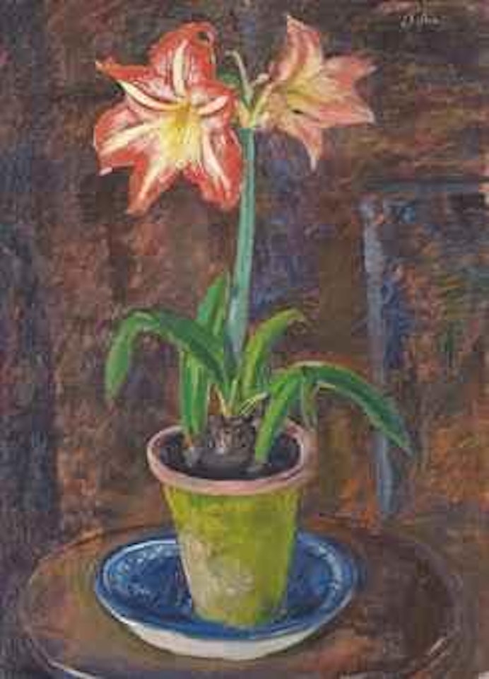 Red Amaryllis in a pot by Augustus Edwin John
